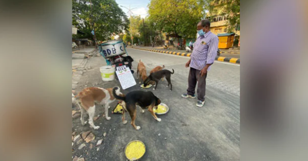 This Gentleman From Nagpur Is Feeding 150 Dogs Daily For Last 11 Years
