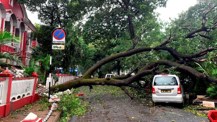 Goa Government Spikes Losses Due To Cyclone Tauktae At ₹ 146 Crore