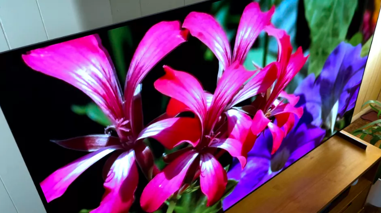 LG G1 2021 OLED TVs Comes With Gaming Support