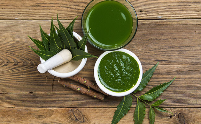Step by step instructions to Use Neem To Cure Dandruff