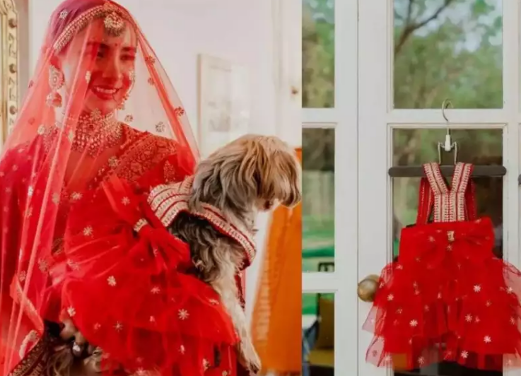 Twinning story of Patralekhaa and her Paw-Friends