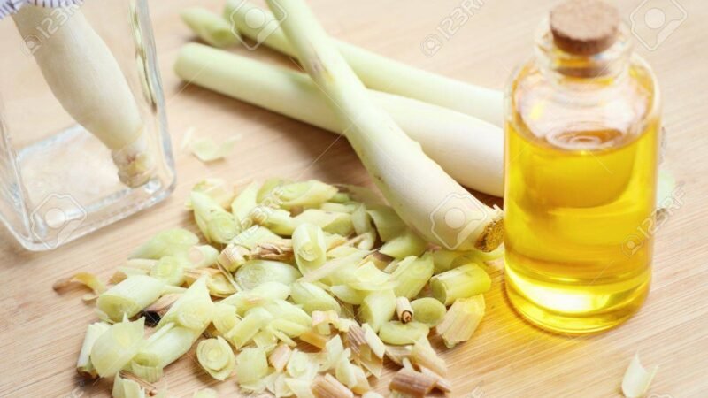 Is Castor Oil Effective For Solving Scalp Problems?