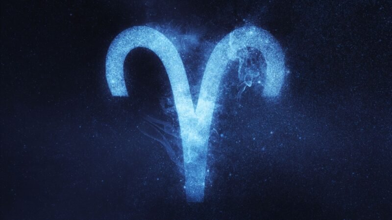 Things You Should Never Say to An Aries