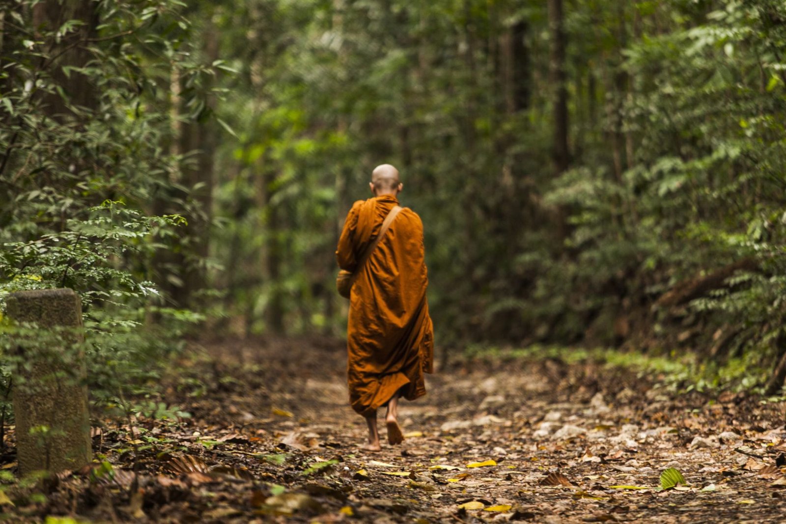 Walking meditation: A new way to battle stressful thoughts