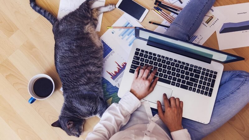 7 Tips On Staying Sane When You Are Working From Home