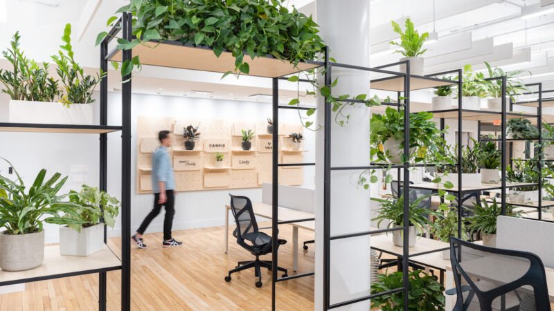 Biophilic offices the new normal
