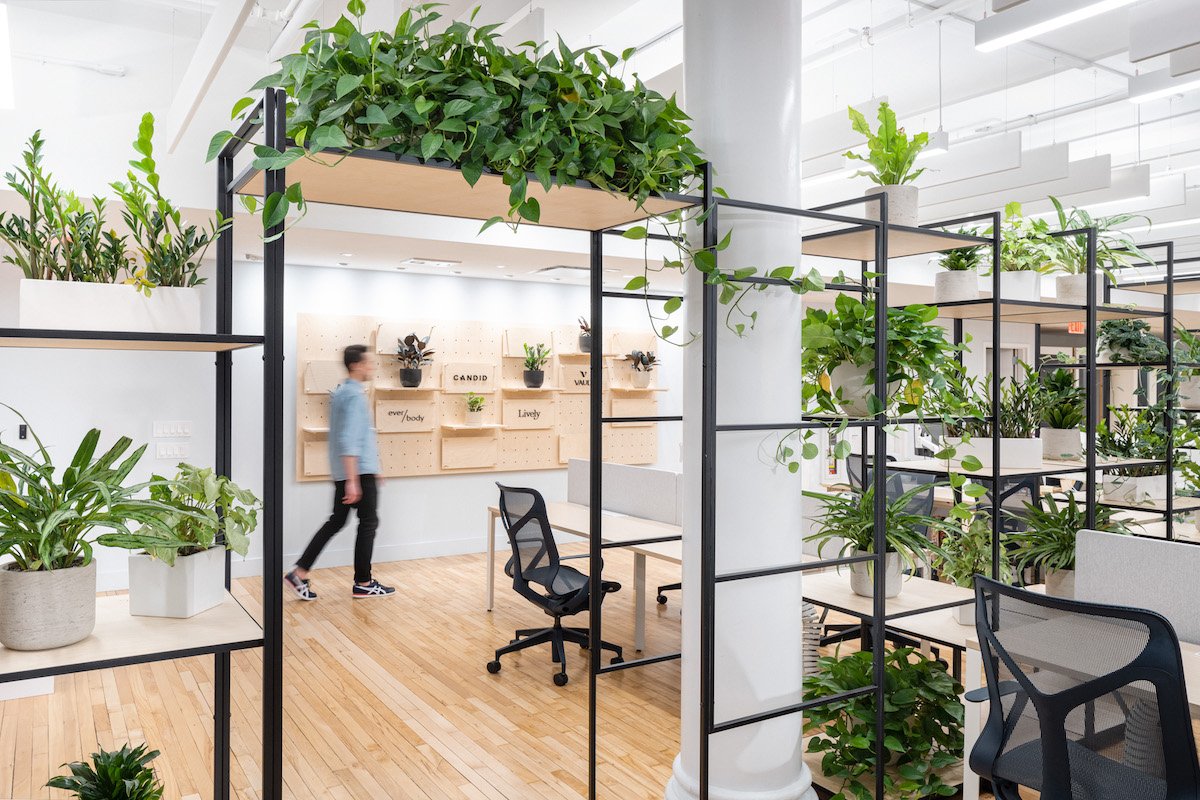 Biophilic offices the new normal