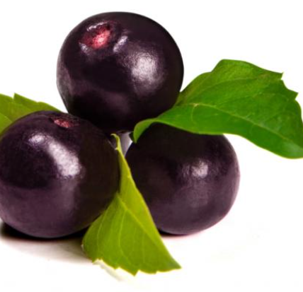Benefits of Acai berry
