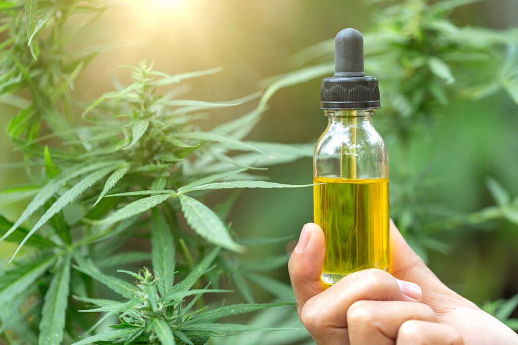 Cannabis compounds prevent covid-19! Read to know how