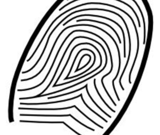 Fingerprints Can Reveal A Lot About Your Personality