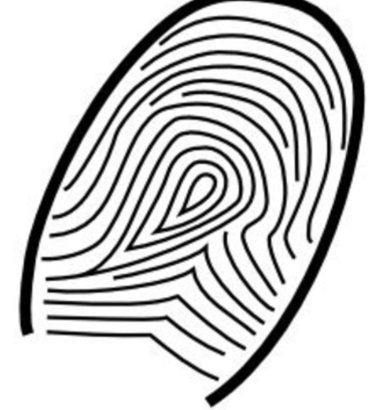 Fingerprints Can Reveal A Lot About Your Personality