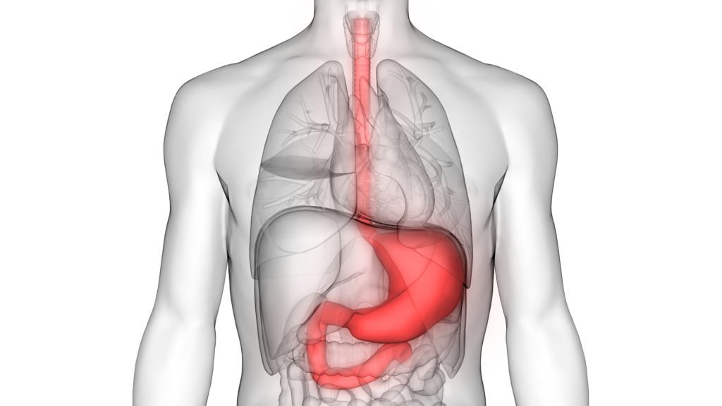 Stomach cancer : 10 Important Facts about Stomach cancer