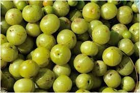 gooseberry