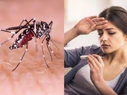 dengue