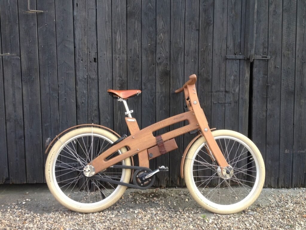 Punjab man makes bicycle with wood for eco-friendly fitness