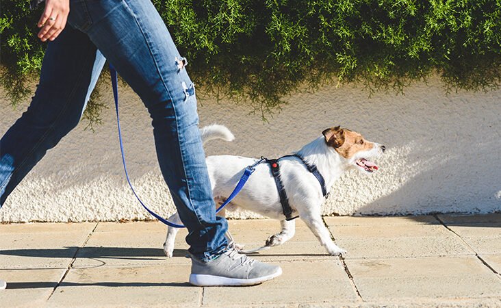 Walking : 4 Tips that help you to walk longer daily