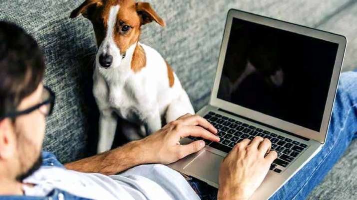 50% employees watch porn while working from home 