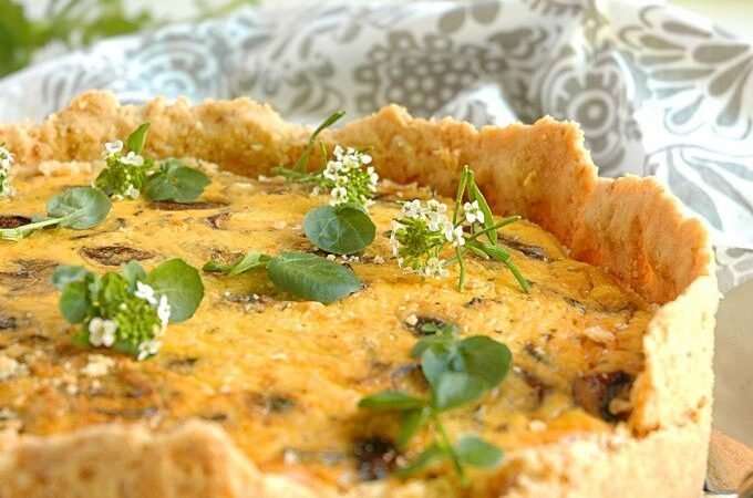 Chicken Cheese cake Recipe