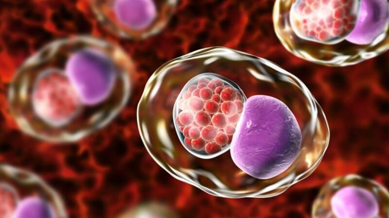 Bacterial Chlamydia disease