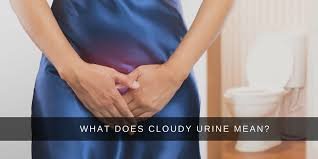 Reasons causing cloudy urine