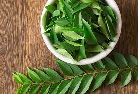 Need more honed memory Eat more curry leaves