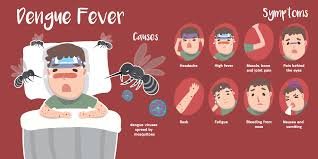 Tips to recuperate quicker from dengue fever
