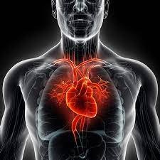 Myth Busters: Heart Failure