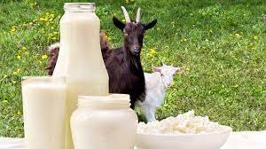 Benefits Of Goat Milk In Skincare Products