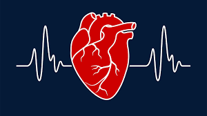  Issues of Cardiovascular Breakdown