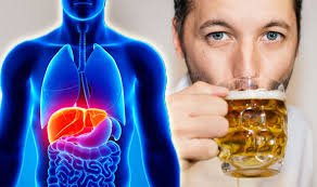 Abundance liquor utilization can prompt liver harm