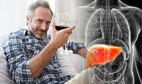 Abundance liquor utilization can prompt liver harm