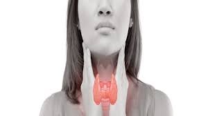 Thyroid Imbalance: Symptoms