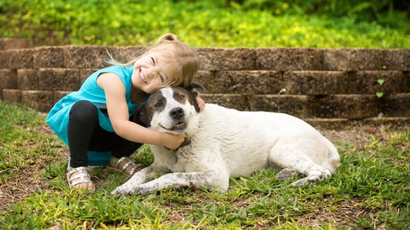 Canines also can get surly at adolescence