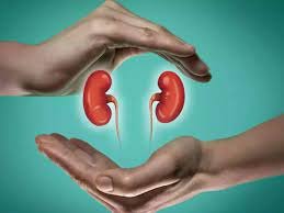 10 Day Propensities That Can Hurt Your Kidneys