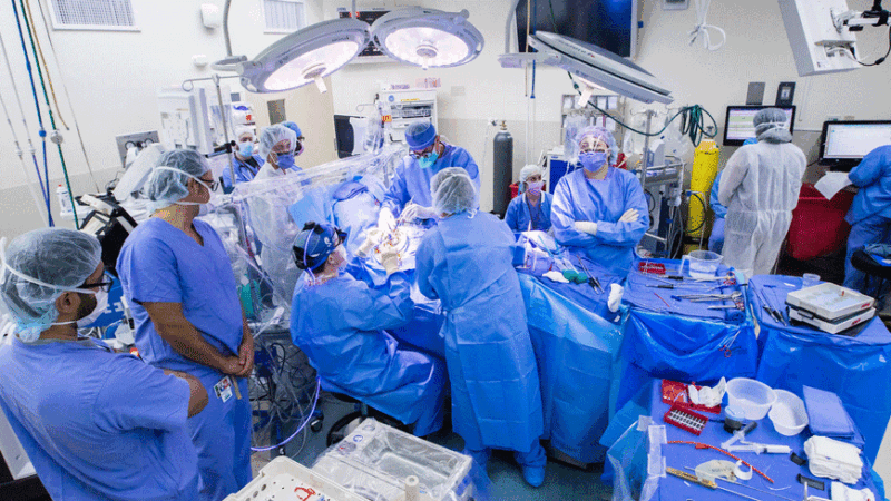 The medicines accessible for COVID-19 patients