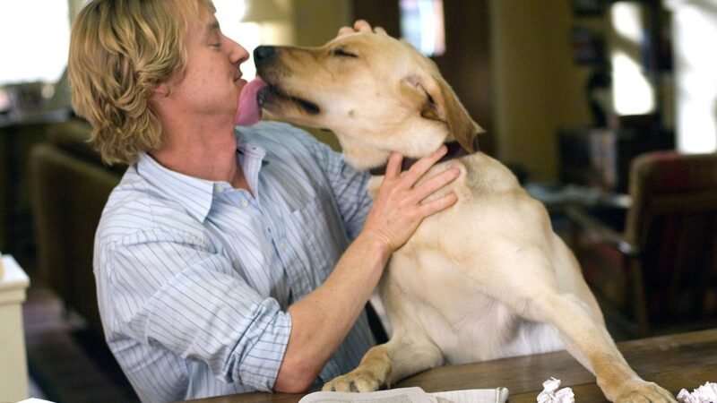 Famous doggie flicks ever