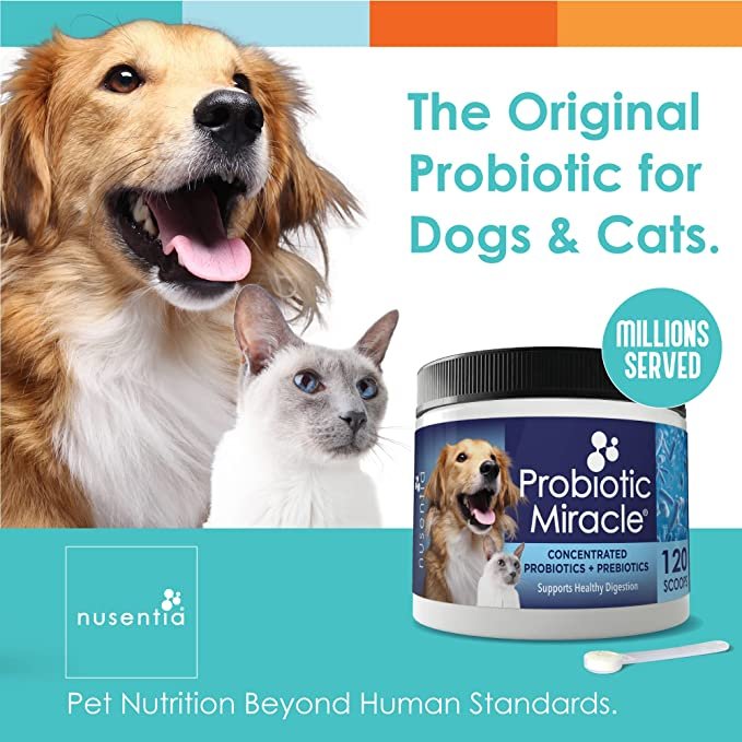 Of pet sanitisers probiotics and nutrient treats