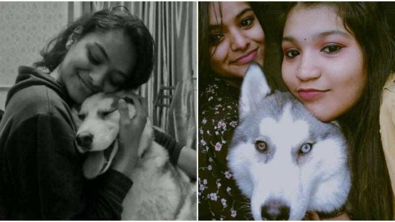 Assembled to honor a lost canine