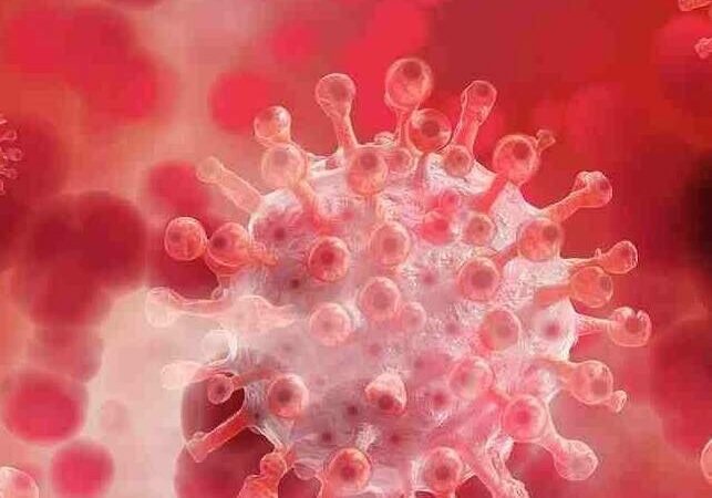 I began recuperating from COVID