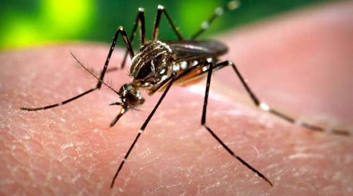 Protect yourself assuming you contract dengue