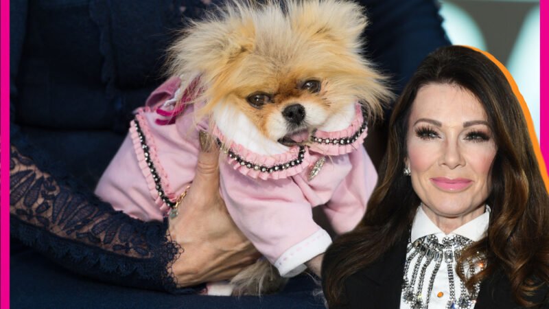 Lisa Vanderpump grieves the passing of her pet