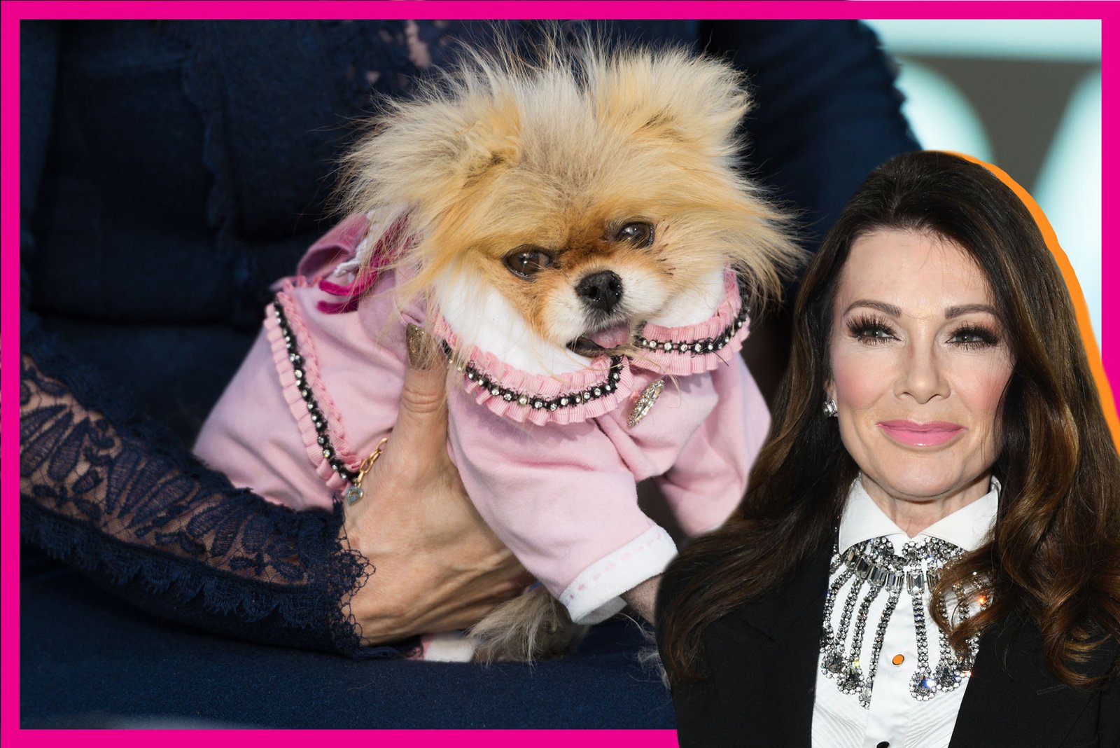 Lisa Vanderpump grieves the passing of her pet