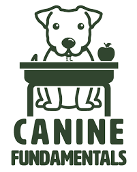 10 fundamentals for the canine explorer