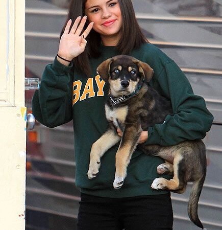 14 game stars and their pets