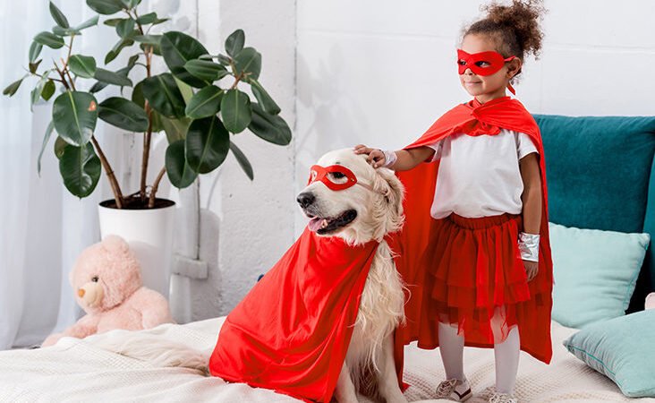 Lockdown summer pet consideration tips to follow