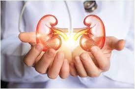 10 Day Propensities That Can Hurt Your Kidneys