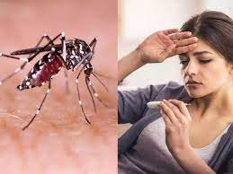 Dengue Recuperation Side Impacts Can Wait After Recuperation