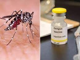 Why dont Have A Protected And Powerful Dengue Antibody
