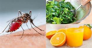 Ayurvedic tips to recuperate from dengue fever