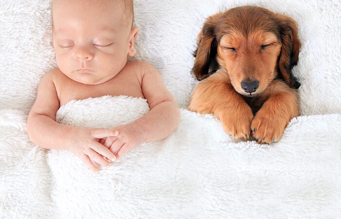 kid with dozing better around evening time